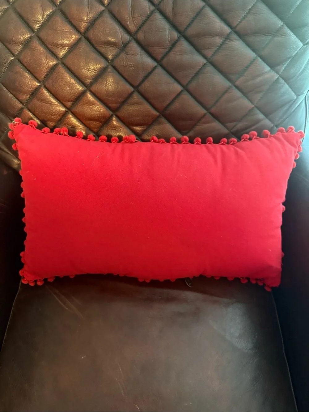 Pier 1 Schnauzer Dog Christmas Pillow Light Up Flashing Pom-Pom Trim
